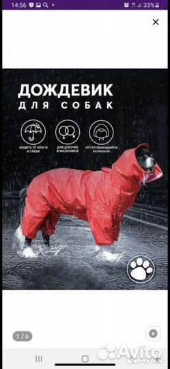Комбинезон для собаки