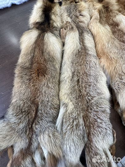 Шкурка животного