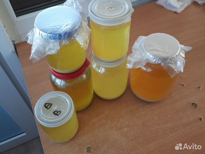 Жир сурка