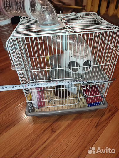 Клетка с хомяком