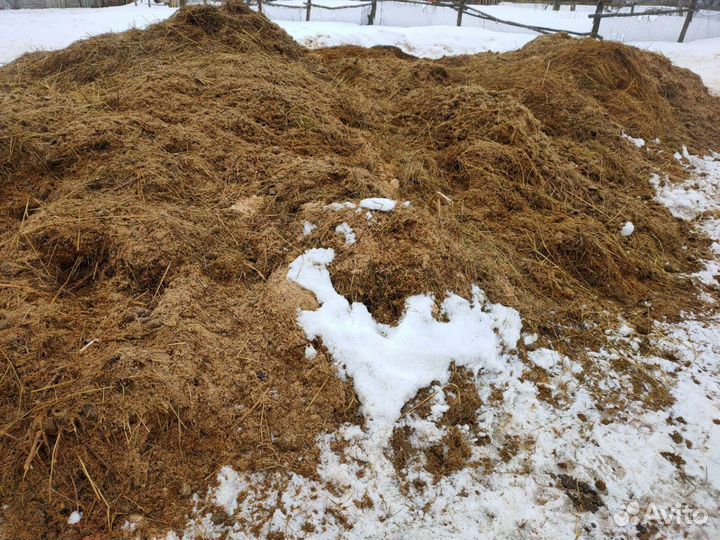 Конский свежий навоз с подстилкой