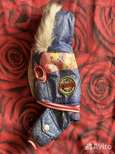 Одежда для маленьких собак s