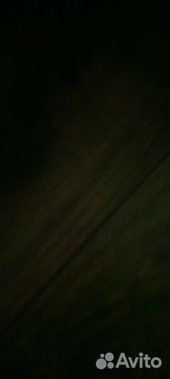 Палки-колбаски