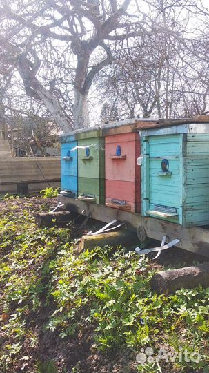 Продаються ульи, медогонка, рамки