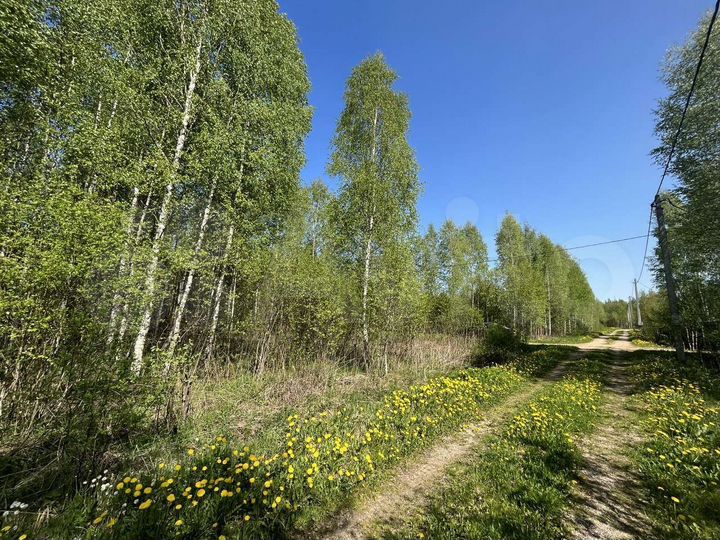 Участок 15 сот. (СНТ, ДНП)