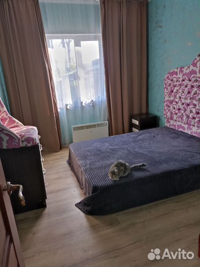 Передержка собак,кошек,птиц,грызунов в частном дом