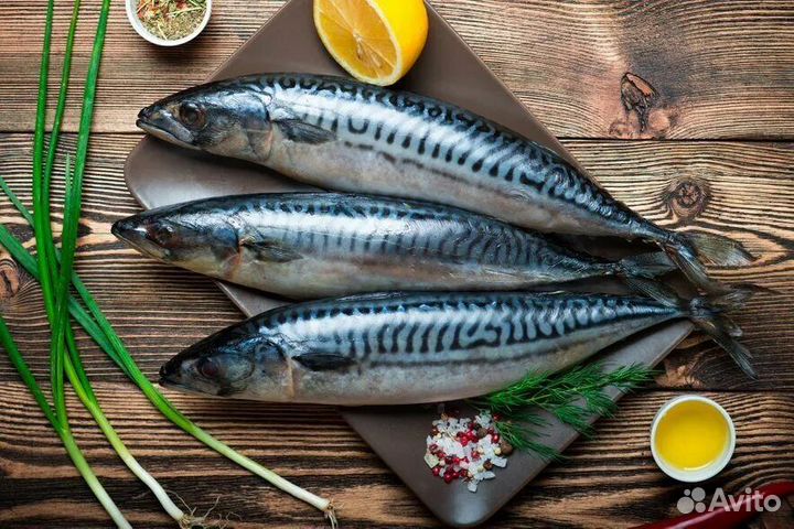 Скумбрия свежемороженая и в маринаде
