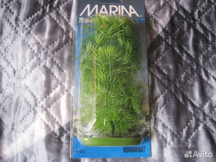 Водоросли в аквариум