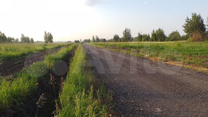 Участок 6 сот. (СНТ, ДНП)