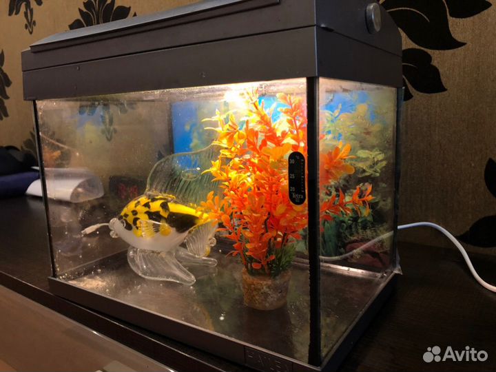 Аквариум 20л