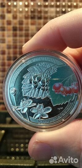 1000 Драм Армения Джаз.Рябина.Серебро