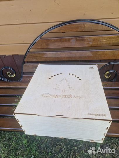 Саженцы сосны зкс