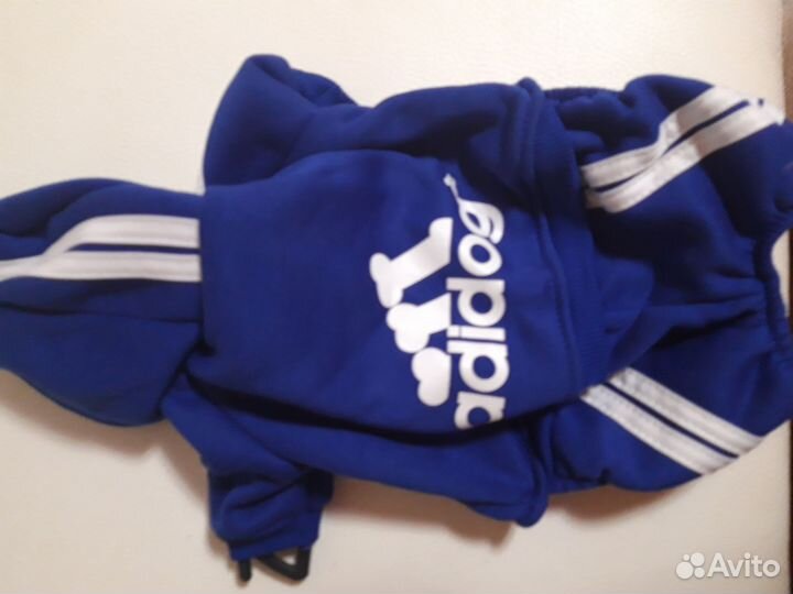 Одежда для собачек