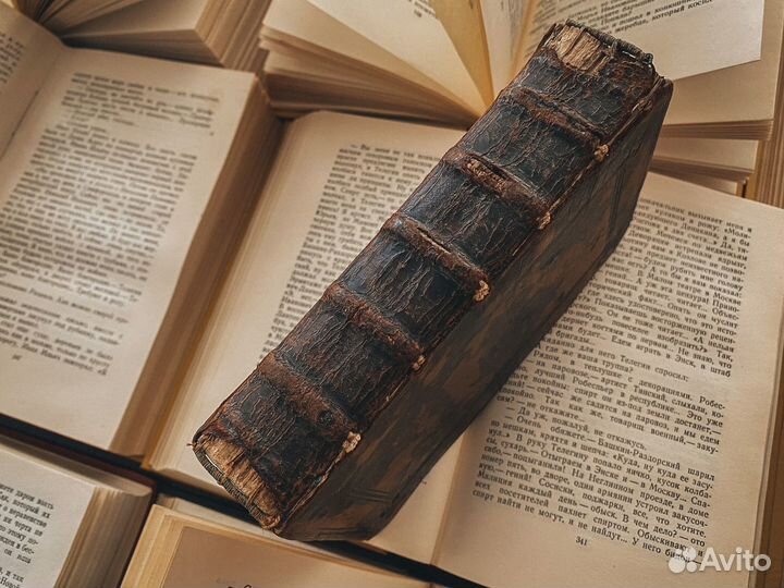 Палеотип.Комментарии Евангелия от Матфея (1543 г.)