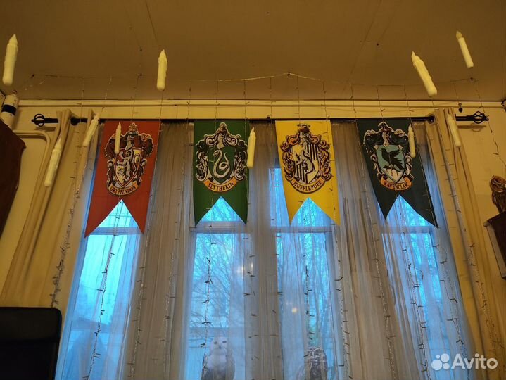 Фотосессия Гарри Поттер в Зеленограде