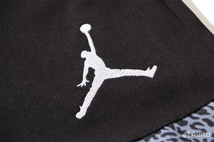 Спортвные шорты Nike Jordan