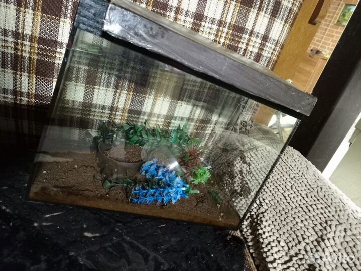 Аквариум для рыбок