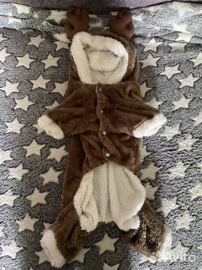 Костюм для собаки