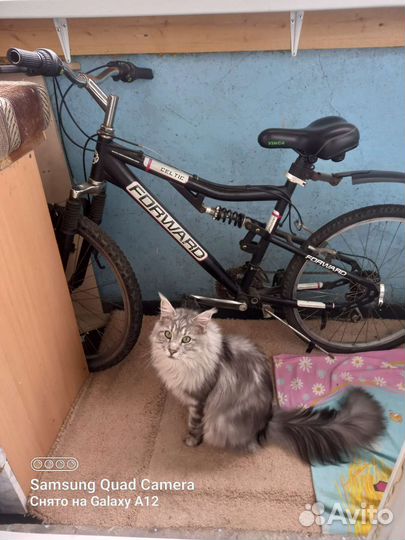 Женский горный велосипед бу