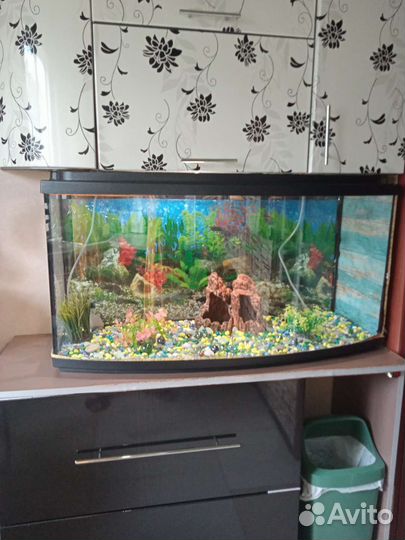Аквариум