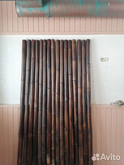 Ствол бамбука