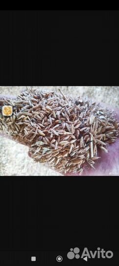 Корма дробленка для сельхозживотных