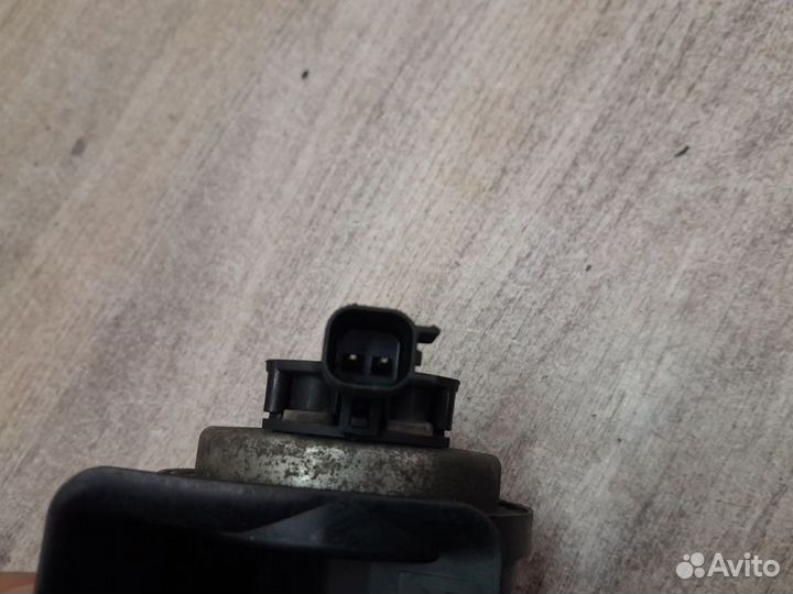 Сигнал звуковой Ford Focus I (1998—2004)