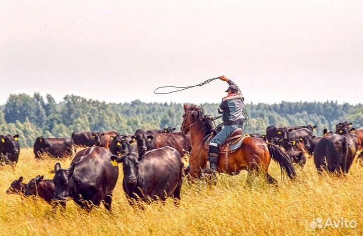 Рабочий на ферму