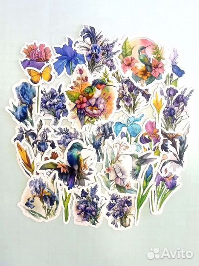 Высечки для скрапбукинга Ирисы и Колибри