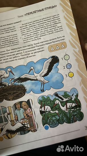 Арбекова развиваем связную речь 5-6 лет