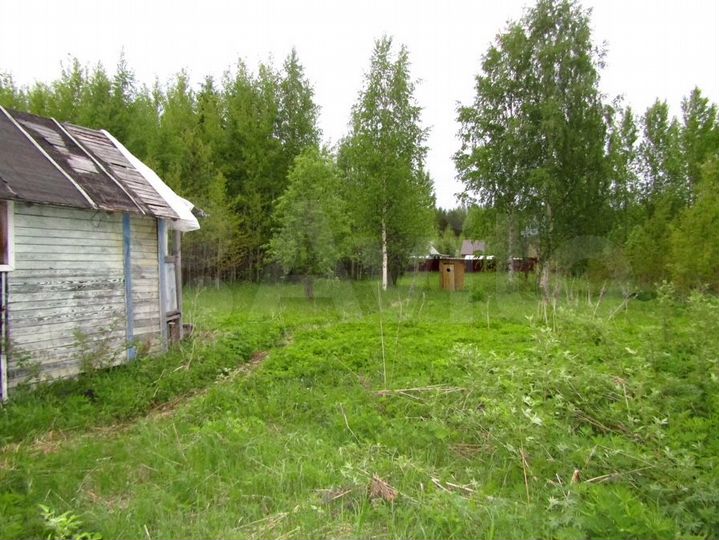 Участок 10 сот. (СНТ, ДНП)
