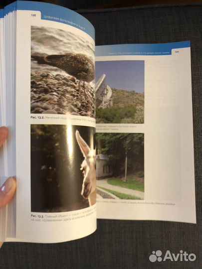 Книга Цифровая фотография