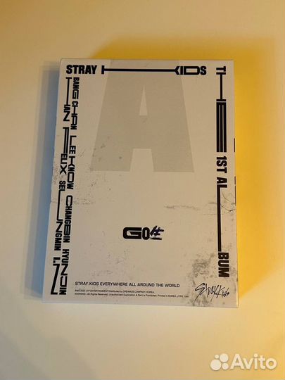 Альбом stray kids GO