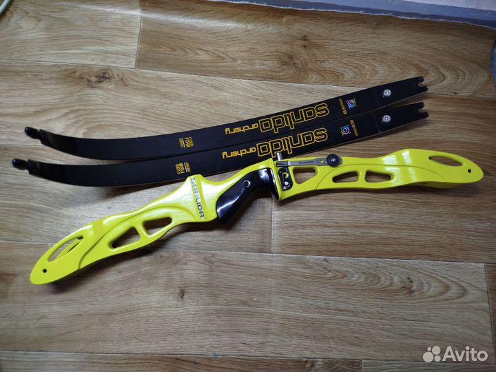 Лук классический sunlidа х9