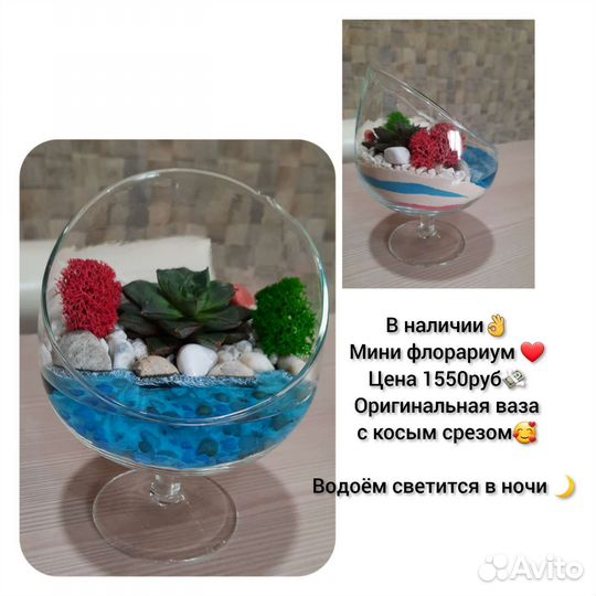 Мини флорариум