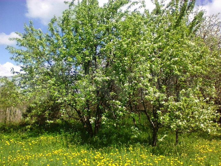 Участок 9 сот. (ИЖС)