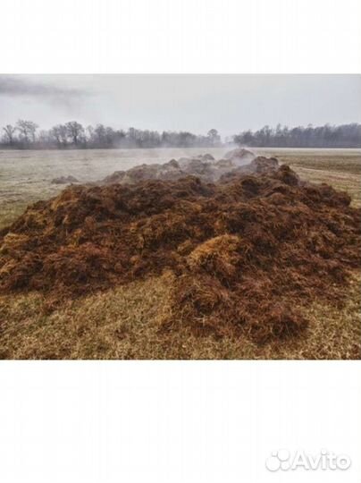 Навоз крс перегной Чернозем на газели самосвал