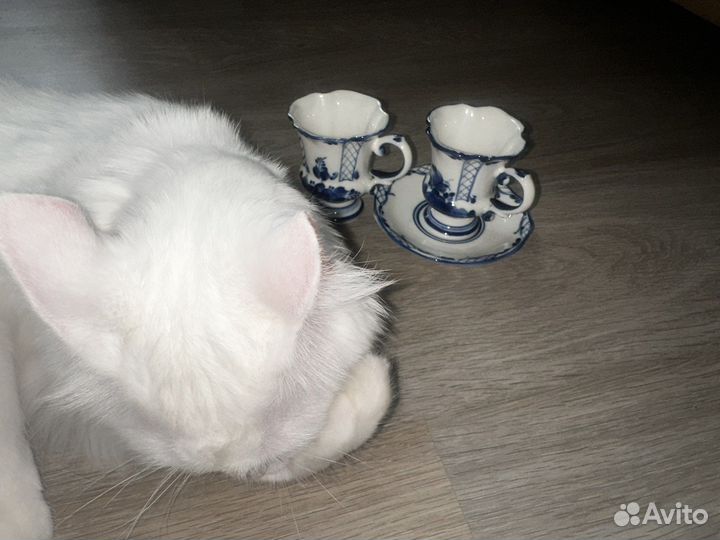 Набор кофейных чашек с бдюдцем гжель фарфор