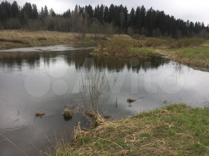 Участок 37,5 сот. (СНТ, ДНП)