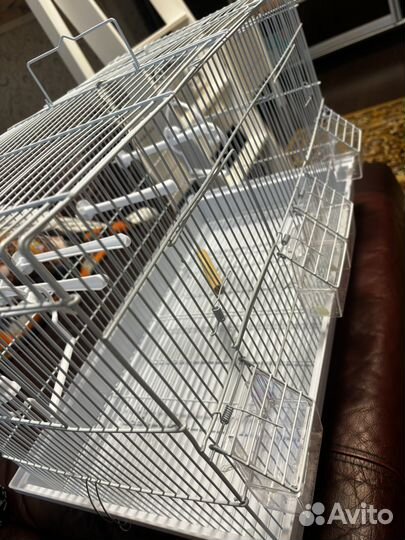 Клетка для волнистого попугая