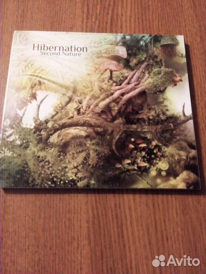 Фирменные CD Hibernation, Galaxy