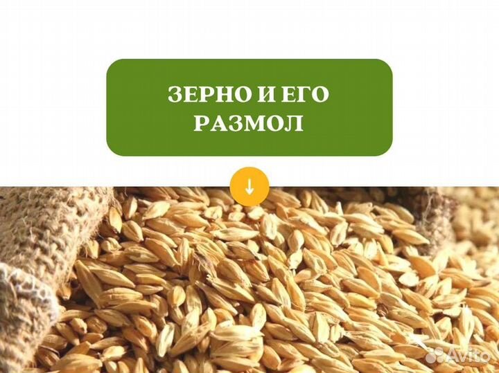 Пшеница Размол (кг)