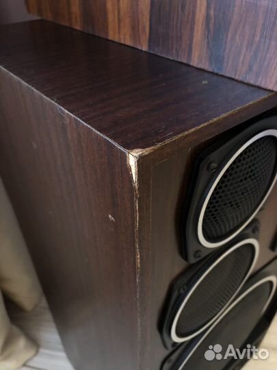 Колонки Брянский эмз S-90