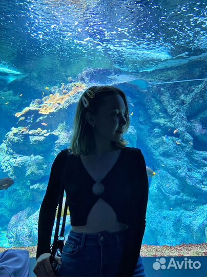 Репетитор по французскому языку