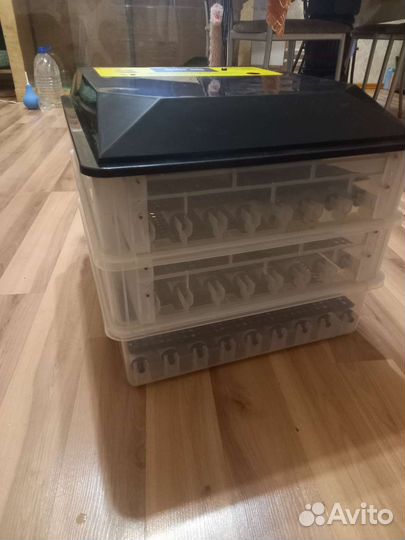 Инкубатор для яиц автоматический бу