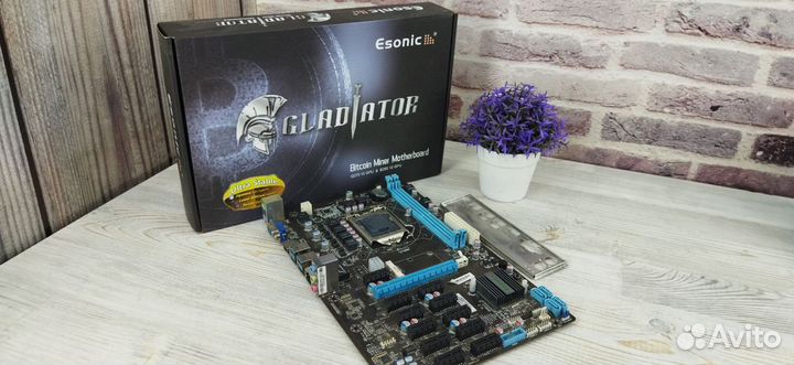 Материнская плата Esonic B250-BTC-Gladiator