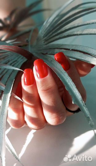 Педикюр, маникюр, наращивание