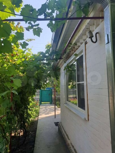 Дом 56 м² на участке 24 сот.