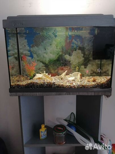 Аквариум с рыбками