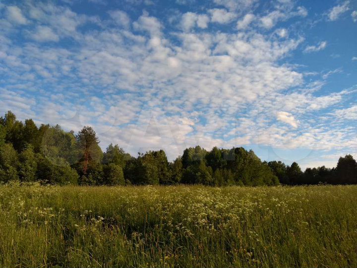 Участок 14 сот. (СНТ, ДНП)